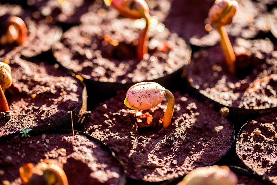 Bridging the Gap: How Universities Can Support First-Generation College Students