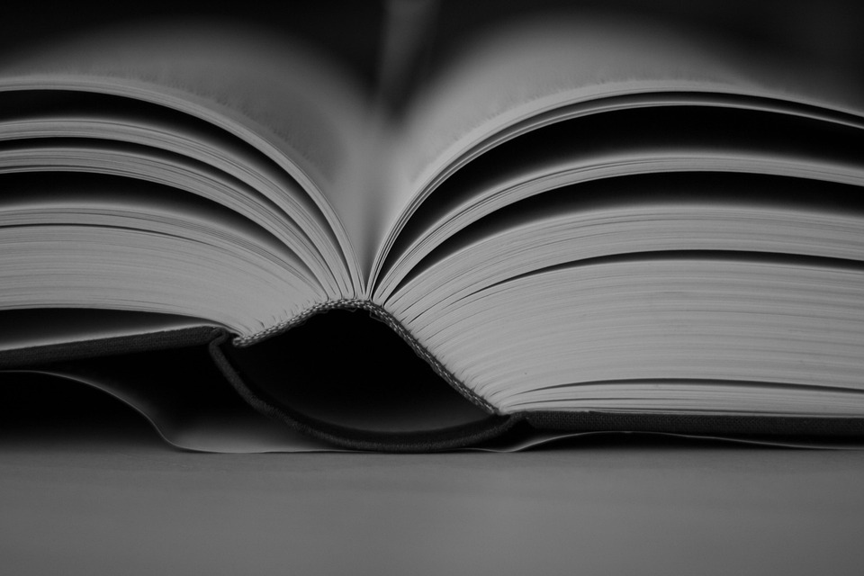 Top 10 Scholarships You Didn’t Know You Could Apply For